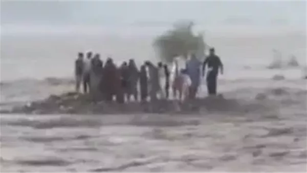 لمحة نيوز
