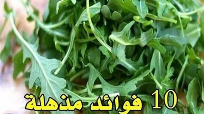 الجرجير